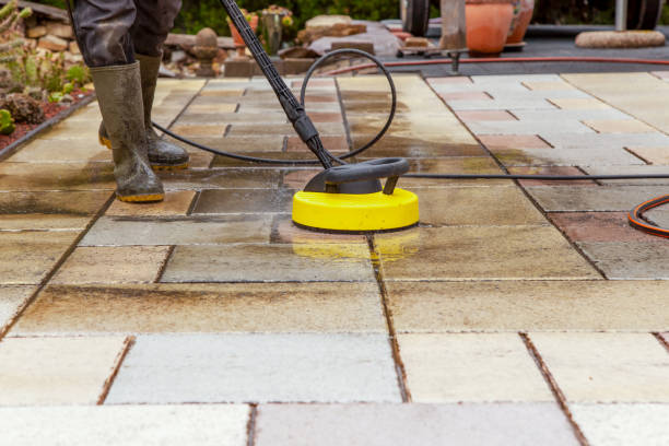 Best Spring Cleaning  in Grand Meadow, MN